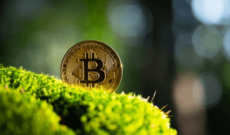 Eco-Friendly Cryptocurrencies